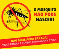 Projeto de Lei visa combate ao mosquito Aedes aegypti